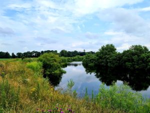 Lovely views on the walk today 